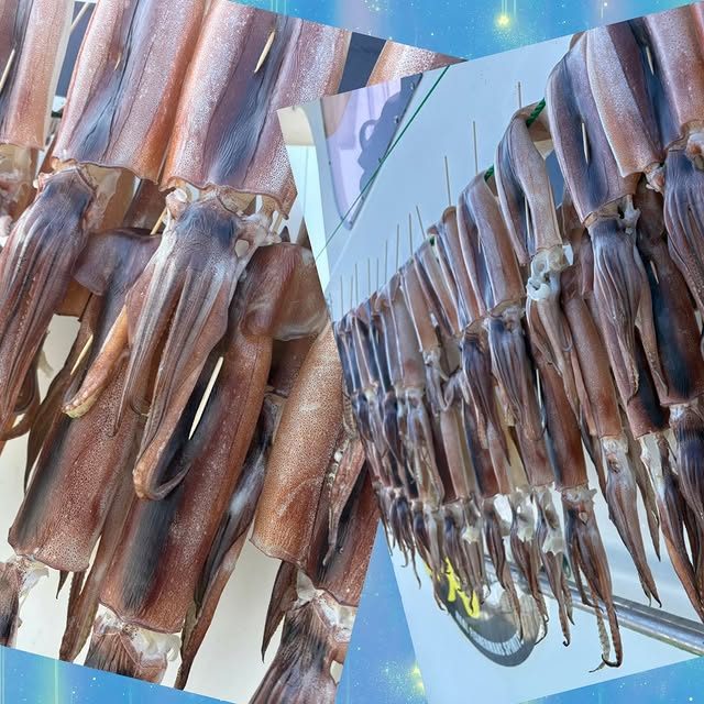 こんにちは(*ˊᗜˋ*) ノ 昨日もご来店ありがとうございます☺️ オーナーがイカ🦑釣ってきましたぁ〜😁 釣ったイカを船で捌き、船で干す事で海風のお陰で程よい塩味がつき、プリプリで最高に美味しいイカの一夜干しが完成します!シンプルに七味マヨ|飲み食い横丁なべすけ 公式Instagram